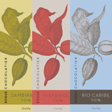 Rogue Chocolatier's bars