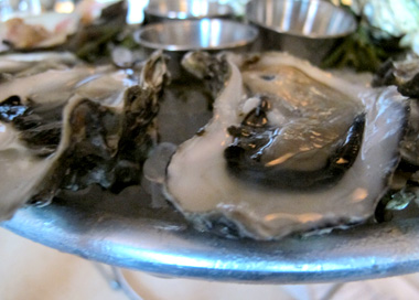 Maison Premiere oysters