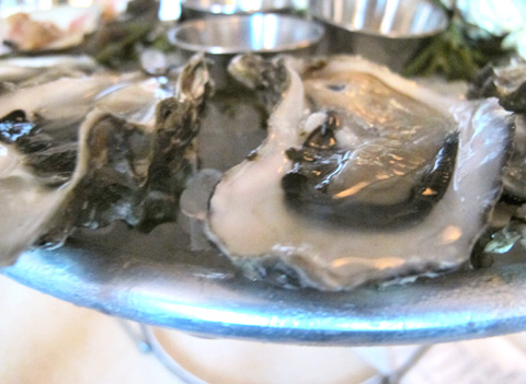 Oysters (Raw Bar)