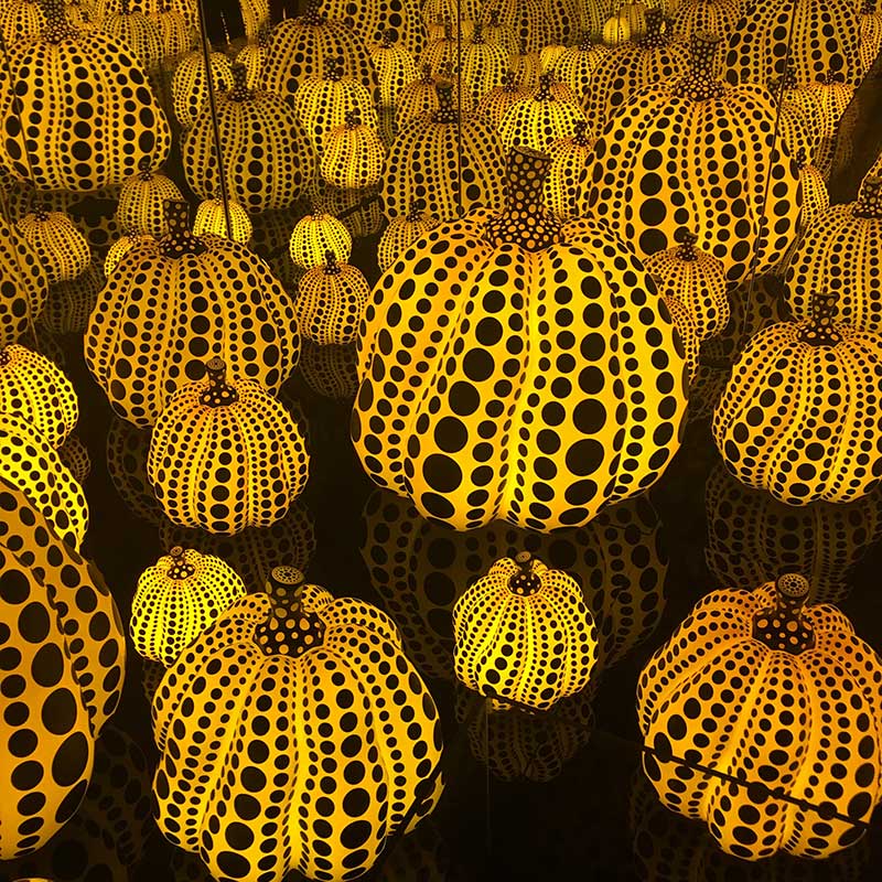 Yayoi Kusama Infinity Mirrors at the Hirshhorn Museum / Celia Sin-Tien Cheng