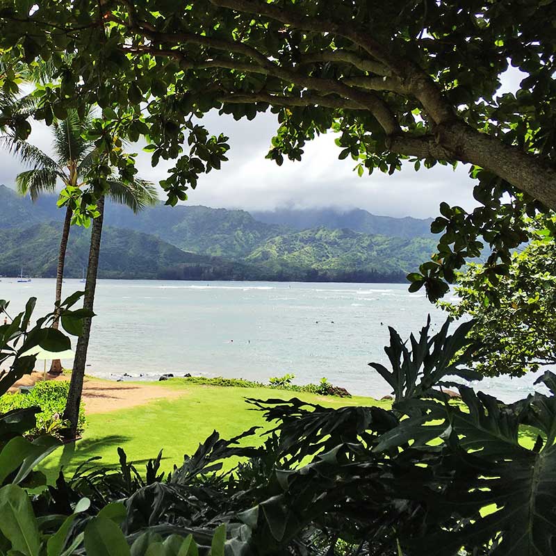 St Regis Princeville Resort Kauai / Celia Sin-Tien Cheng